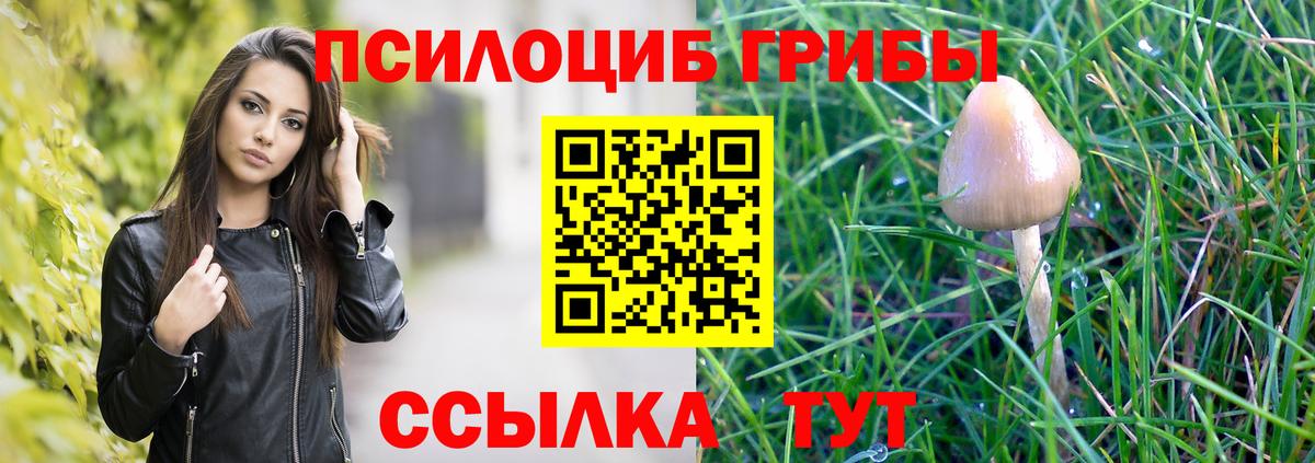 Псилоцибиновые грибы Cubensis Черногорск